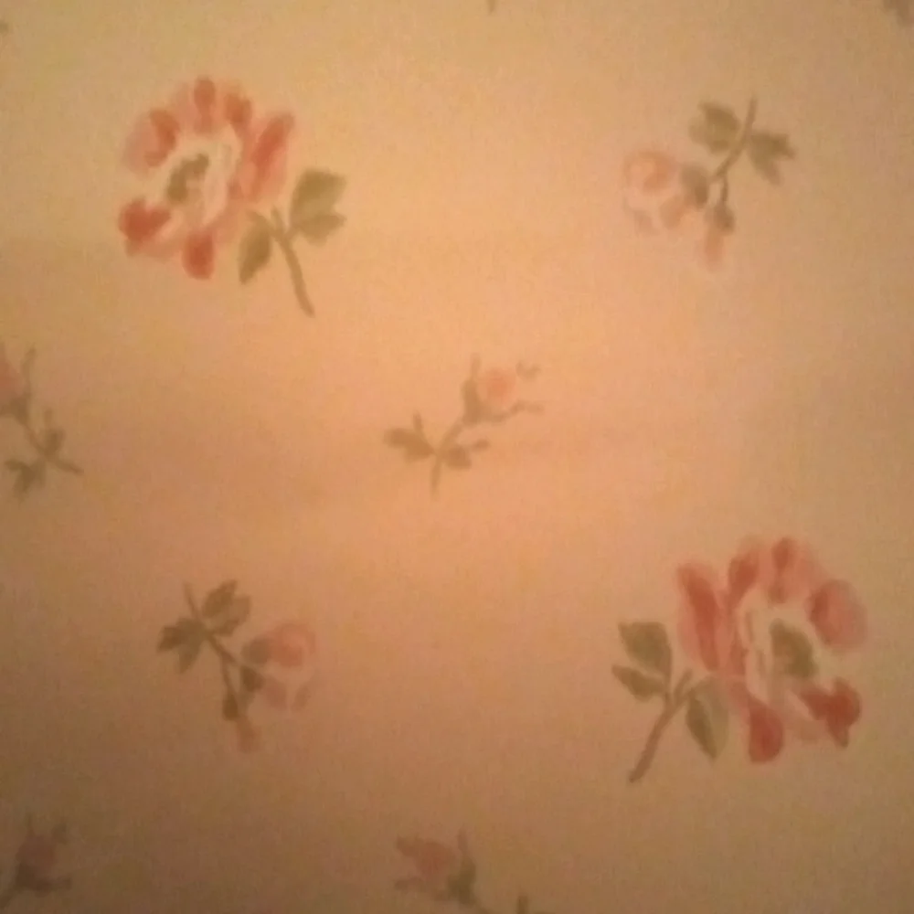 3 double rolls of Very pretty peach rose wallpaper